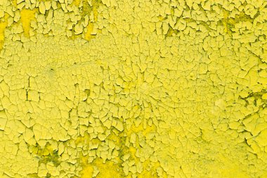 tasarımcılar için kaba arka plan. Eski kırık sarı boya dokusu. Beton duvardaki eski kırık boya.