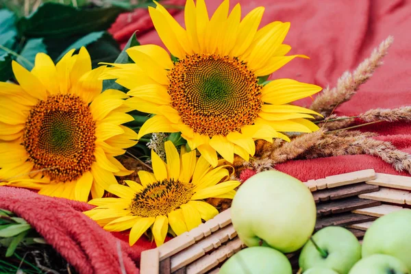 Still Life Sunflowers Green Apples Basket Close — Stock Photo, Image