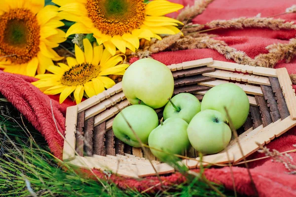 Still Life Sunflowers Green Apples Basket Close — Stock Photo, Image