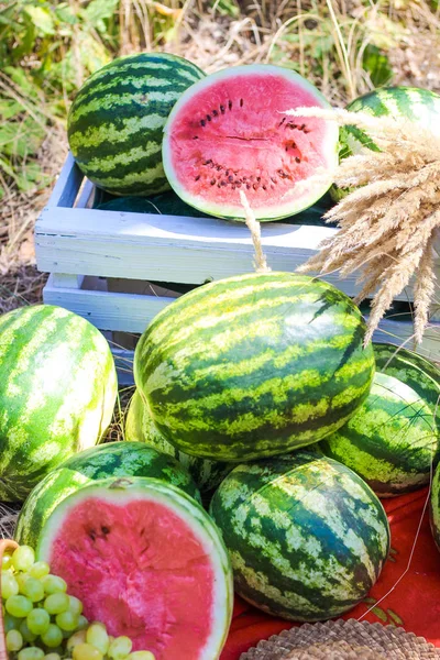 Herfst Stilleven Vruchten Van Watermeloenen Picknick — Stockfoto