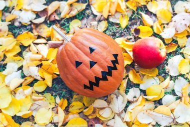 Gözleri olan bir balkabağı ve yaprakların sarı arka planında bir gülümseme. Cadılar Bayramı.