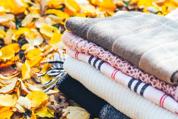 Cozy Knitted Blankets Scarves Background Autumn Foliage — Stock Photo, Image