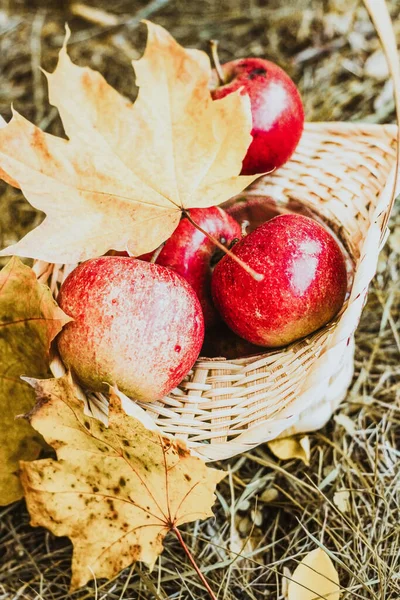 Autumn Flatley Apples Yellow Leaves Wicker Eco Basket — Stock Photo, Image