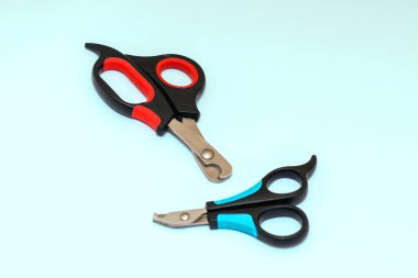 Mavi arka planda kedi ve köpekler için iki tırnak makası