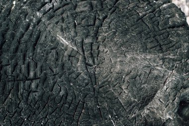 Yanmış ahşap doku, kömür. Metin için boşluk.