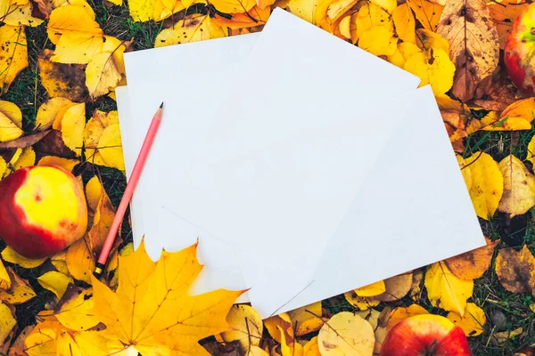 Blank Sheet Space Text Background Yellow Autumn Leaves List Plans — Stock Photo, Image