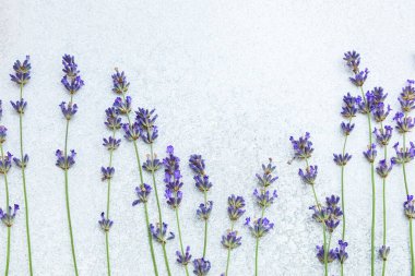 Zarif lavanta çiçekleri canlı mor renklerini gösteren desenli bir yüzey üzerinde ustalıkla düzenlenir. Bu sakin görüntü doğanın güzelliğini ve sadeliğini gün ışığında yakalar..