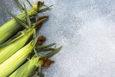 Kabuklarında hala birkaç taze mısır koçanı dokulu gri bir yüzey üzerinde duruyor. Mısırda canlı yeşil kabuklar ve yaklaşan yemekler için tazeliğini vurgulayan kahverengi ipekler sergileniyor..