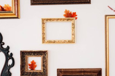 Süslü tasarımların yer aldığı beyaz bir duvara çeşitli antik resim çerçeveleri yerleştirilmiştir. İçlerinde canlı sonbahar yaprakları mevsimlik dekoru yükselten bazı çerçevelere bakıyor..