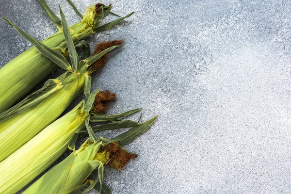 Kabuklarında hala birkaç taze mısır koçanı dokulu gri bir yüzey üzerinde duruyor. Mısırda canlı yeşil kabuklar ve yaklaşan yemekler için tazeliğini vurgulayan kahverengi ipekler sergileniyor..