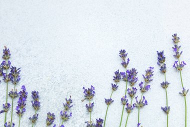 Dekoratif bir tabakta yüzük zinciri ve küpeler de dahil olmak üzere bir dizi altın mücevher bulunur. Tabak, dokulu gri bir yüzey üzerinde duran eşsiz bir tasarım içeriyor. 