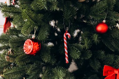 Parlak kırmızı süsler ve çizgili şeker kamışı, yemyeşil bir Noel ağacına asılarak tatil sezonu için şenlikli bir atmosfer yaratıyor. Sıcak renkler kutlamanın sevincini vurgular..