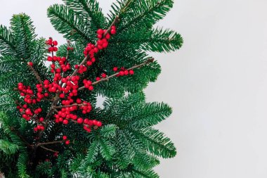 Parlak kırmızı böğürtlenler yemyeşil çam dallarının arasında oturur ve kış kutlamaları için mükemmel bir şenlik düzenler..