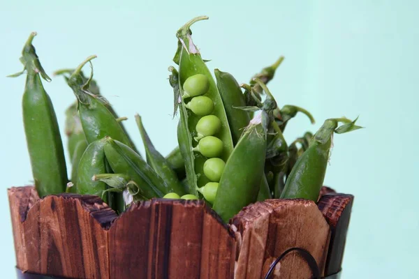 Açık yeşil arka planda izole edilmiş tahta küvette bezelye kabuğu. Yaklaş, makro..