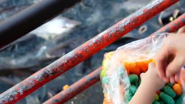 Niños Alimentando Comida Para Peces Sabbath Buddhist Templo Este Día — Vídeo de stock