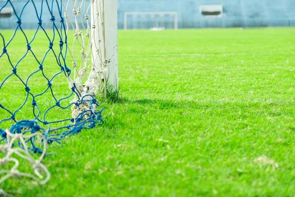 green grass and goal at the stadium. stadium is place for soccer