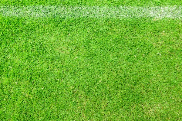 Grönt gräs och mål på arenan. arenan är plats för fotboll — Stockfoto