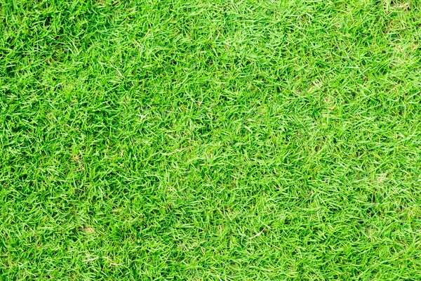 Зеленая трава и гол на стадионе. стадион место для футбола — стоковое фото