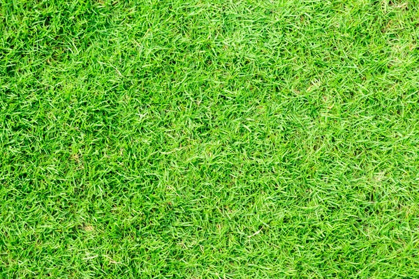 stadyumda yeşil çim ve gol. Stadyum futbol için yer