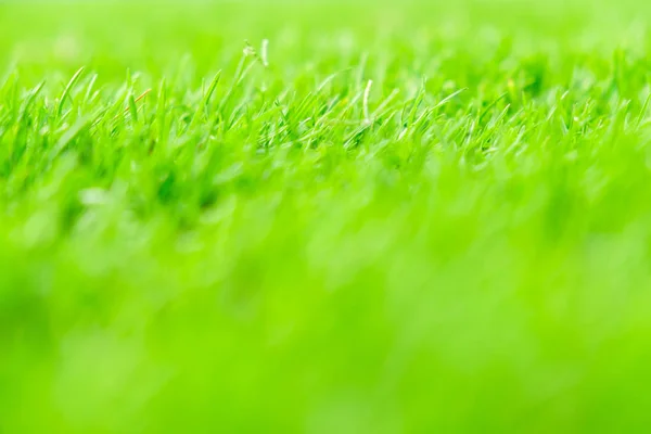 Зеленая трава и гол на стадионе. стадион место для футбола — стоковое фото