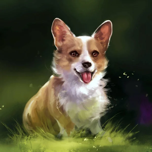 Corgi illusztrációja a fűben — Stock Fotó