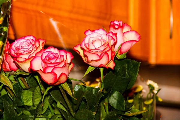 bouquet of dark pink roses