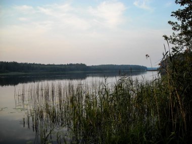 sabah erken saatlerde nehirde saz