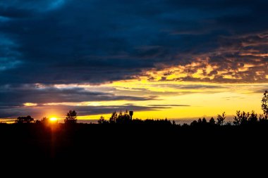 karanlık ormanda gün batımı