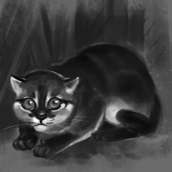 Ilustracja z kotem z płaskim grotem — Zdjęcie stockowe