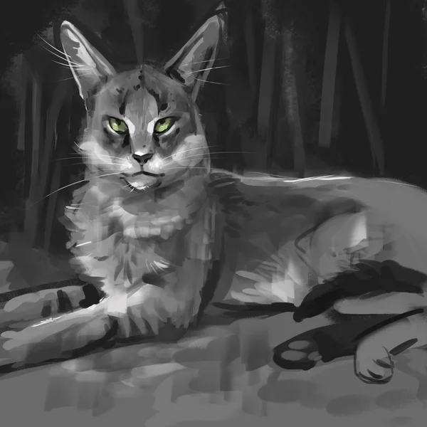 illustration of a jungle cat