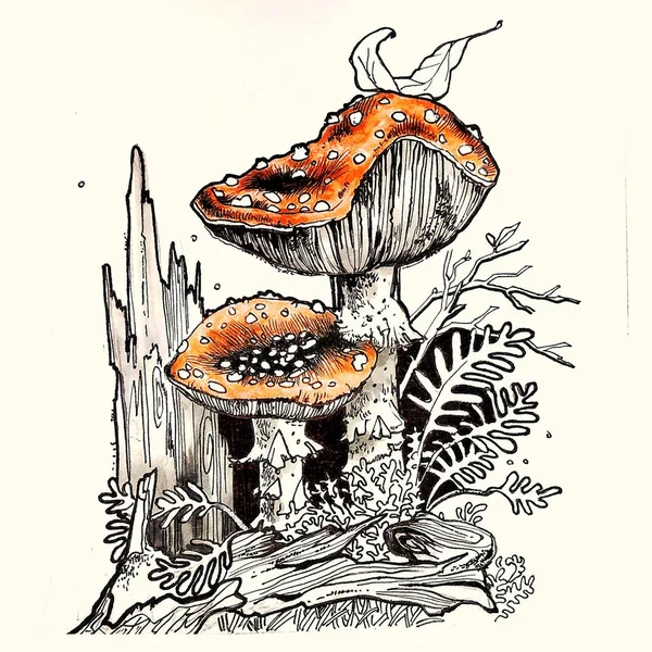 Ilustração de toadstools perto de um toco podre — Fotografia de Stock