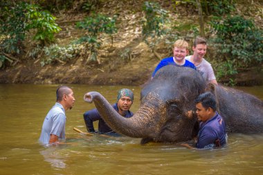 Bebek bir fil ile banyo insanlar 