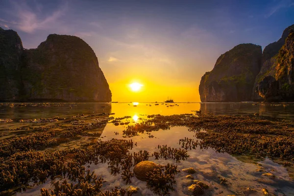 Koraller på Maya beach på Koh Phi Phi i Thailand — Stockfoto