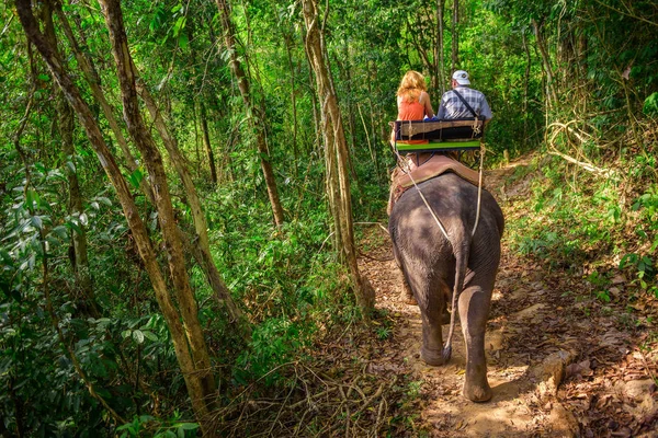Turist Tayland'da fil sürme