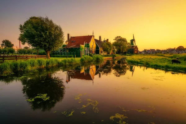 Закат над деревней Заансе-Шанс в Нидерландах — стоковое фото