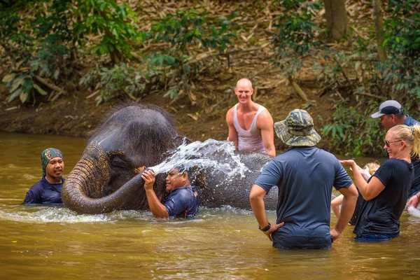 Bebek bir fil ile banyo insanlar