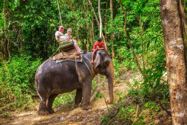 Turist Tayland'da fil sürme