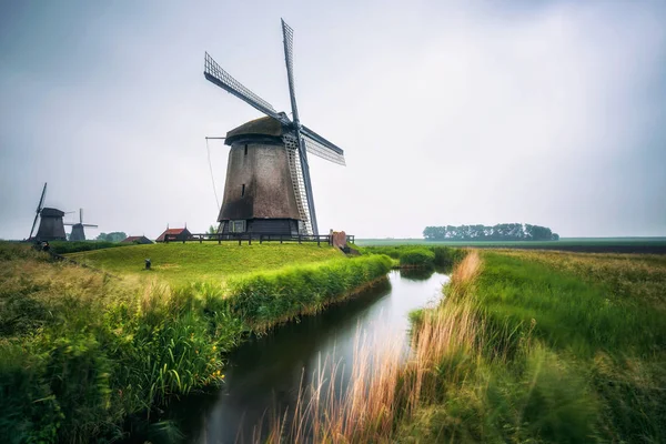Velhos moinhos de vento holandeses em cenário frio da manhã perto de Amsterdã — Fotografia de Stock