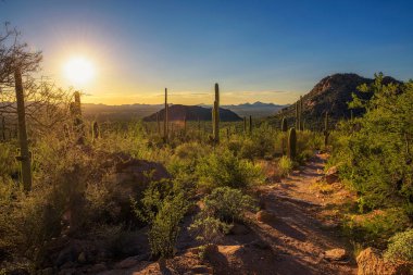 Günbatımı üzerinde iz Saguaro Milli Parkı'nda Arizona hiking