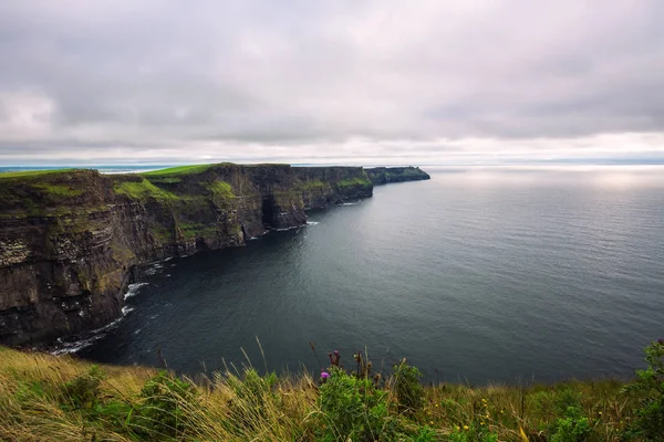 Panoramatický výhled na malebné útesy Moher v Irsku — Stock fotografie