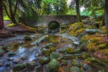 Toprak yol Tollymore Forest Park