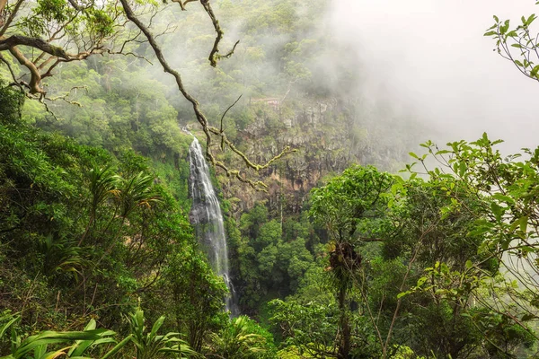 Morans Fällt Auf Morans Creek Gondwana Regenwäldern Der Wasserfall Liegt — Stockfoto