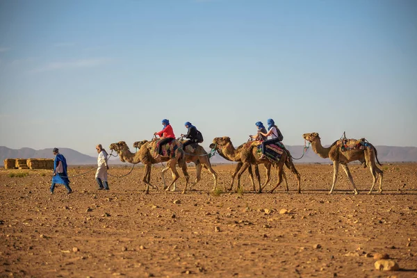 Καμήλα τροχόσπιτο με τους τουρίστες που διέρχεται από την έρημο Σαχάρα — Φωτογραφία Αρχείου