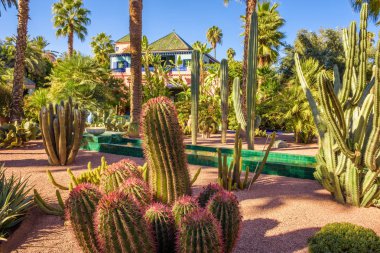 Botanik Bahçesi Jardin Majorelle Marakeş'te