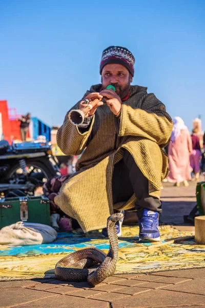 Snake charmer playing music, Marrakech, Morocco — Stock Photo, Image