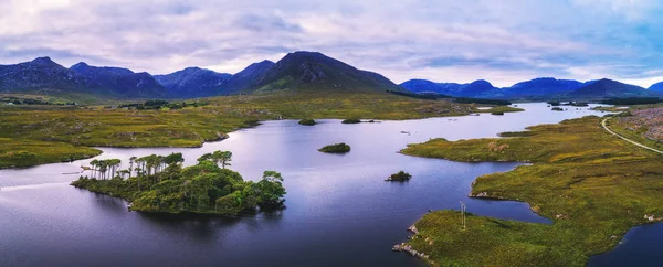 Hava Derryclare göle çam ağaçları Adası Panoraması — Stok fotoğraf