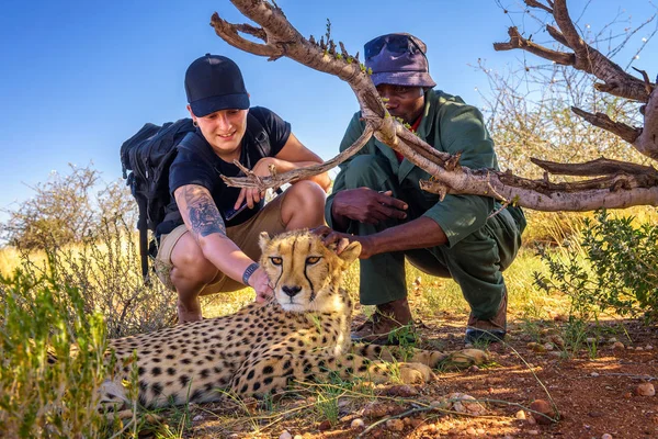 Majitel a turista s gepard — Stock fotografie