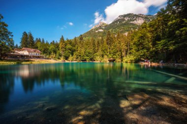 İsviçre'nin Jungfrau bölgesinde Blausee Dağı Gölü