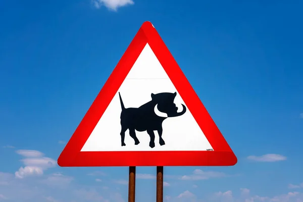 Warthogs διασχίζοντας προειδοποιητική οδική πινακίδα — Φωτογραφία Αρχείου