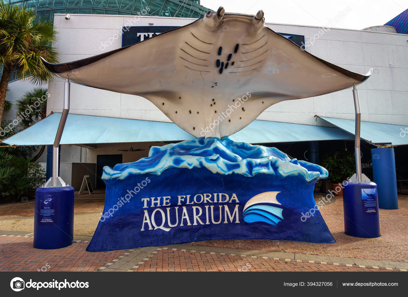 tampa bay rays stadium aquarium